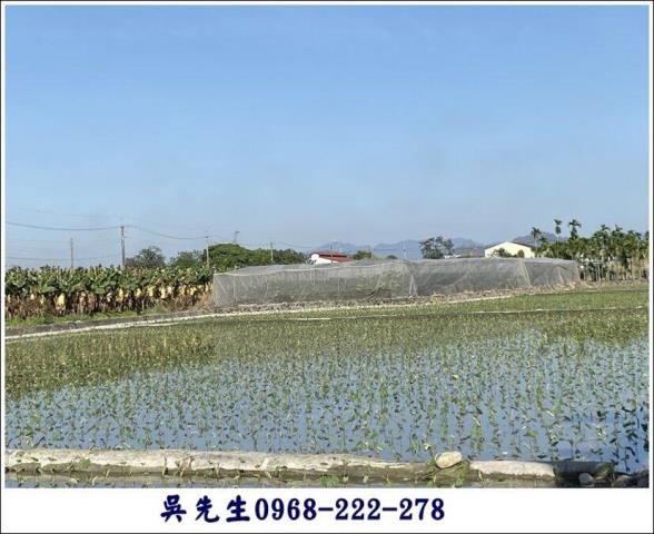 高樹農地-4