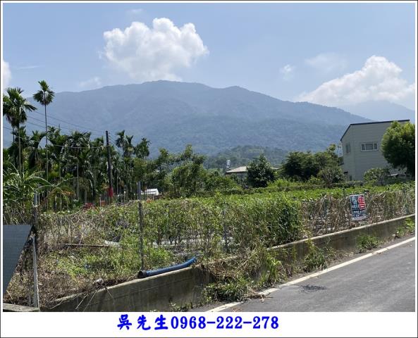 屏東高樹農地-3