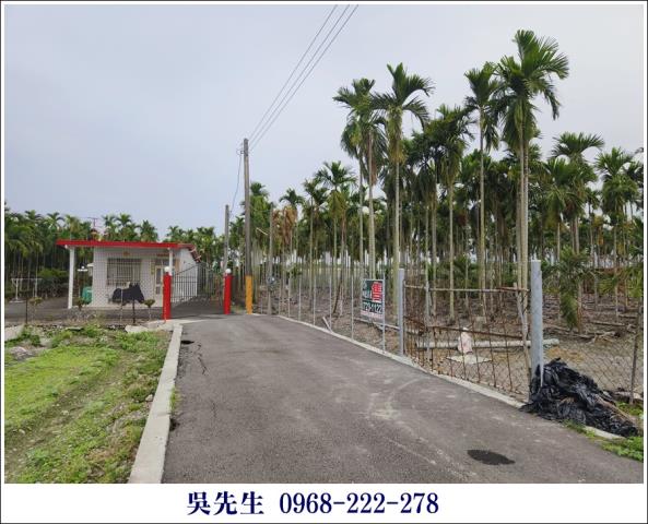 屏東高樹農地-1