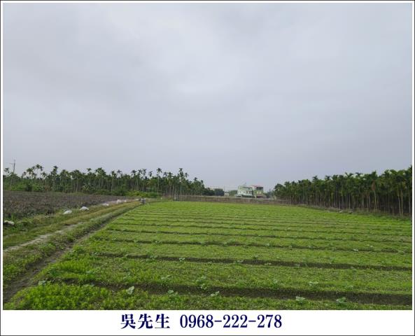 屏東高樹農地-2