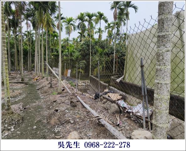 屏東高樹農地-6