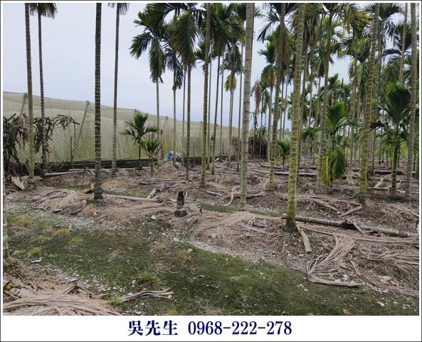 屏東高樹農地-8