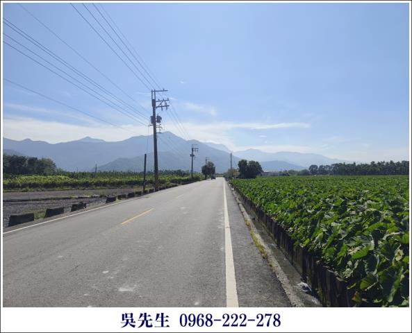 屏東高樹農地-3