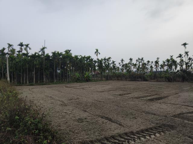 屏東麟洛都計農地-7