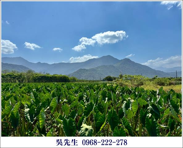 屏東高樹農地-9