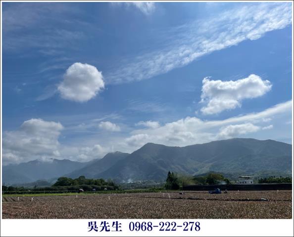屏東高樹農地-11