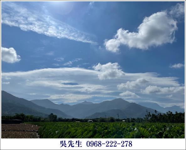 屏東高樹農地-1