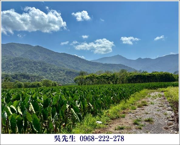 屏東高樹農地-2