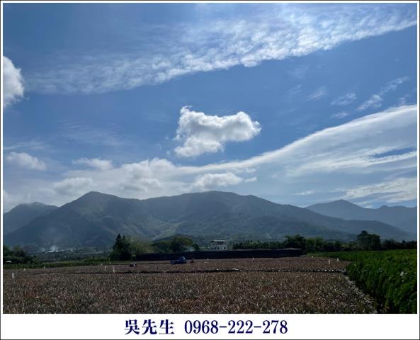 屏東高樹農地-3
