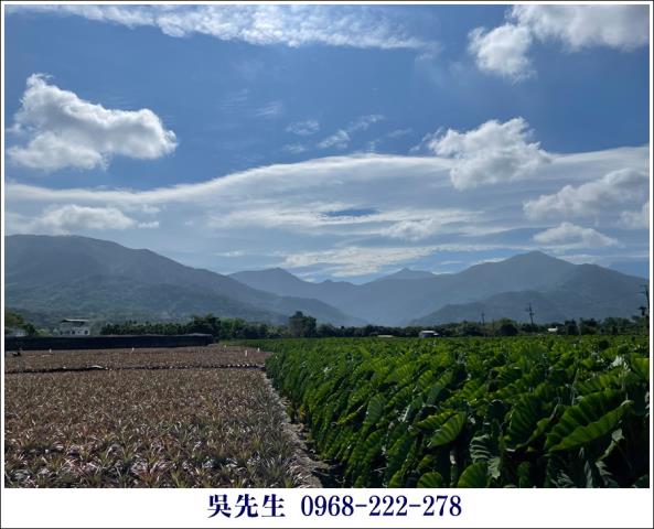 屏東高樹農地-4
