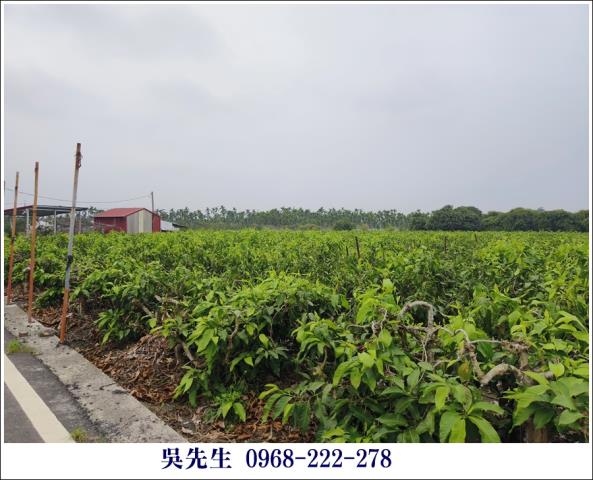 屏東高樹農地-6