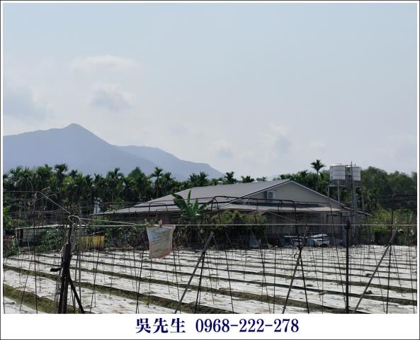 屏東高樹農地-1