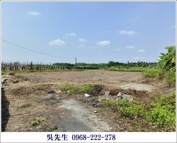 屏東高樹農地-2