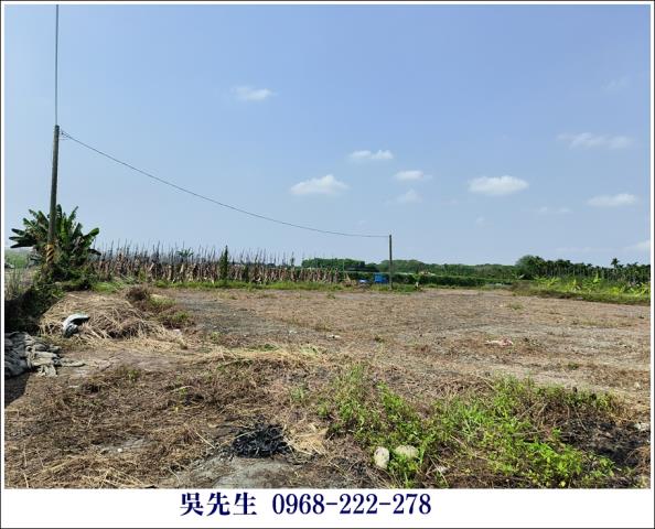 屏東高樹農地-3
