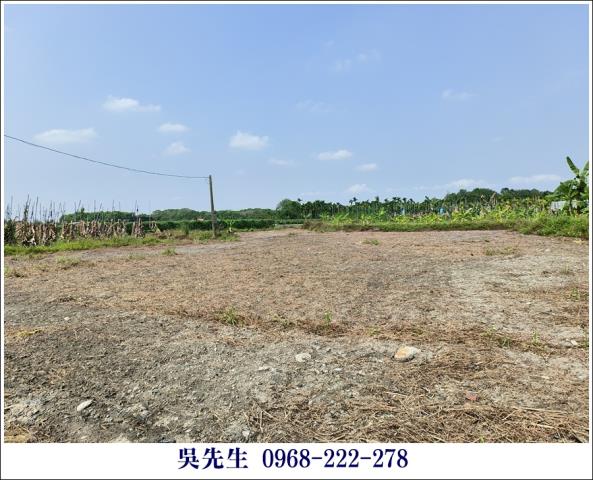 屏東高樹農地-4