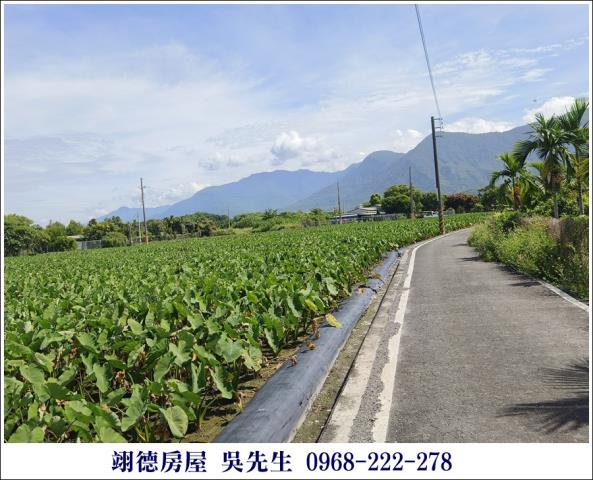 屏東高樹農地-3