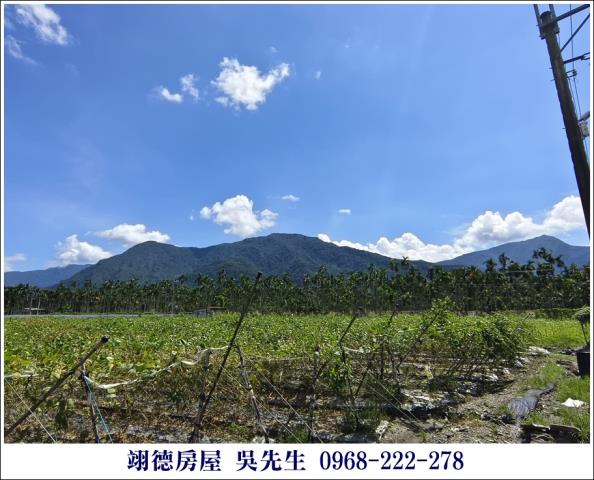 高樹農地-0