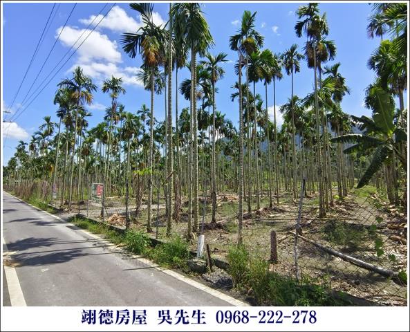 高樹農地-1