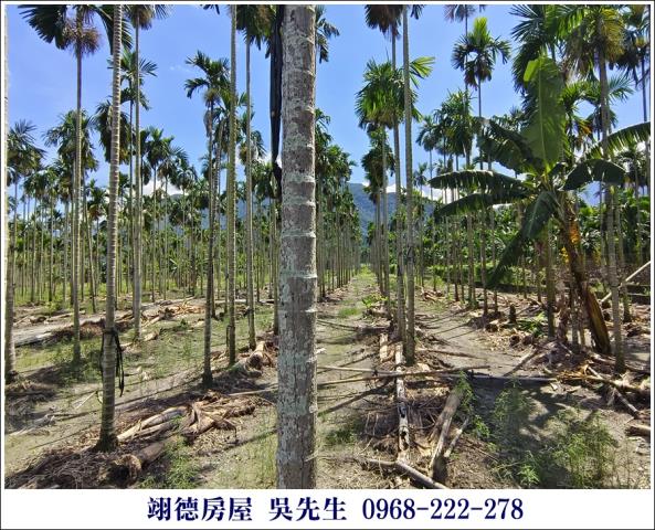 高樹農地-2