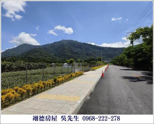高樹農地-5