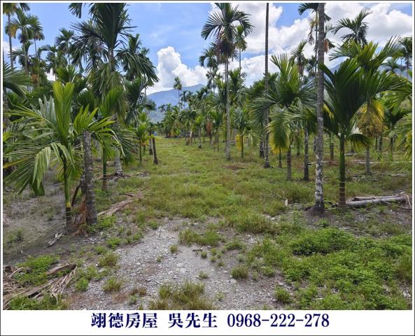 高樹農地-0
