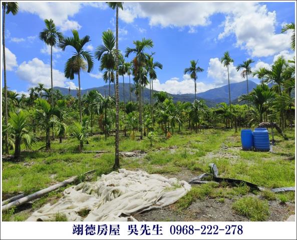 高樹農地-1