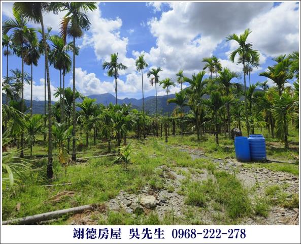 高樹農地-2