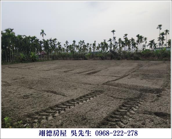麟洛農地-1