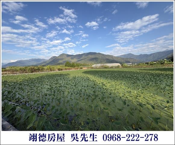 高樹農地-10