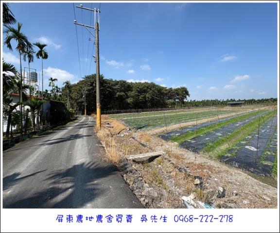 高樹農地-0