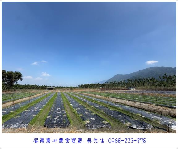 高樹農地-1