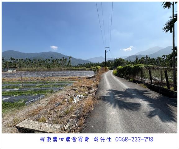 高樹農地-2
