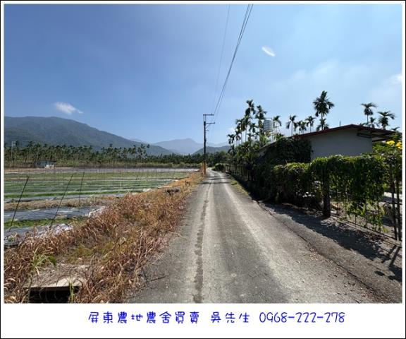 高樹農地-4