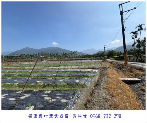 高樹農地-5