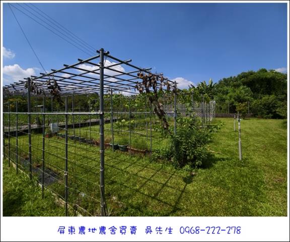 高樹農地-11