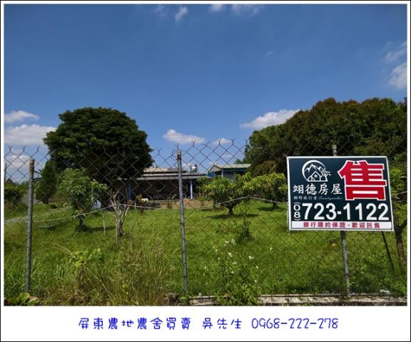 高樹農地-14