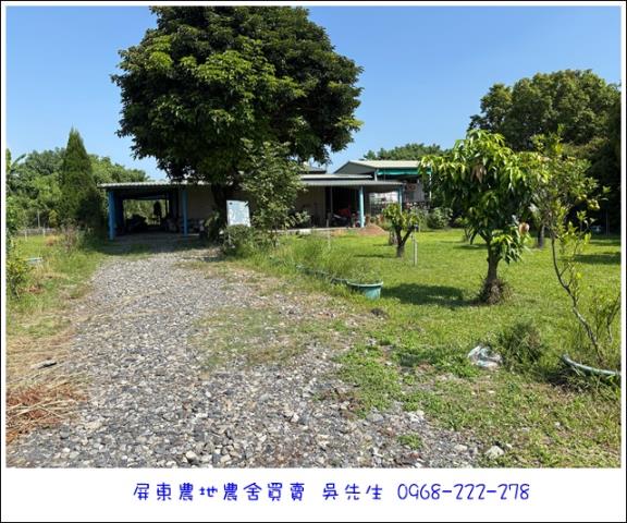 高樹農地-1