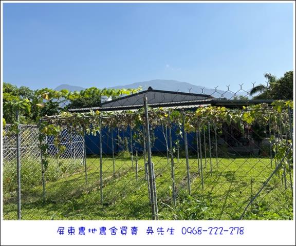 高樹農地-2
