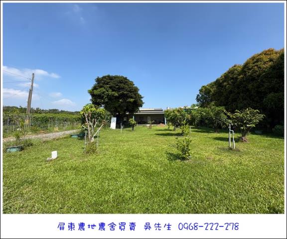 高樹農地-3
